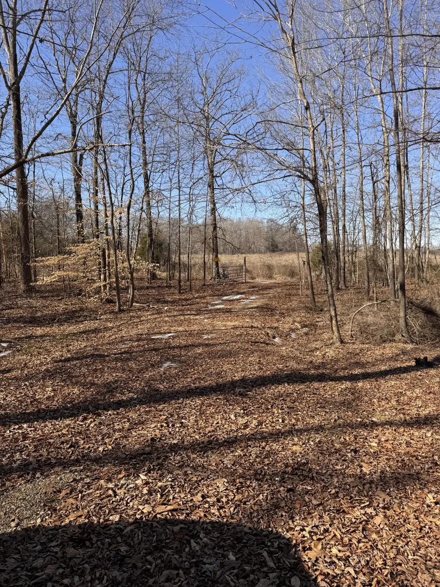 0 Hwy 69 A, Big Sandy, TN 38221 - #3