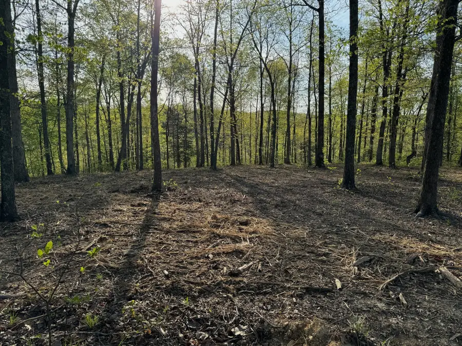 3900 Roan Creek Rd, Linden, TN 37096 - #2