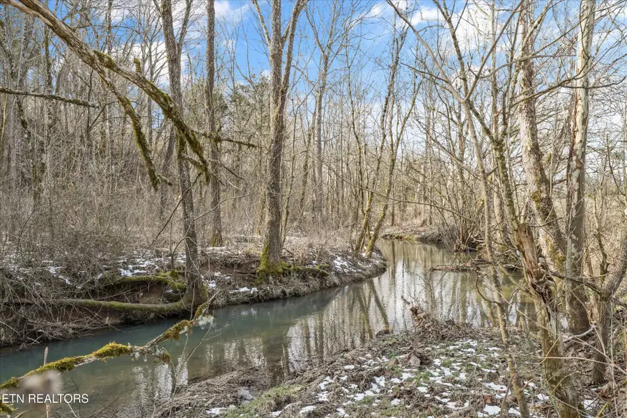 1333 Cherry St, Rutledge, TN 37861 - #2