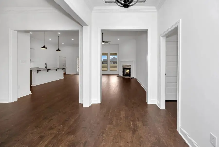 8779 Turnbull Dr, Pleasant View, TN 37146 - #3