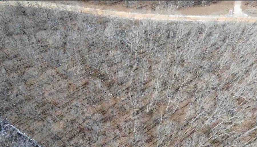 0 Three Rivers Drive, Hurricane Mills, TN 37078 - #3