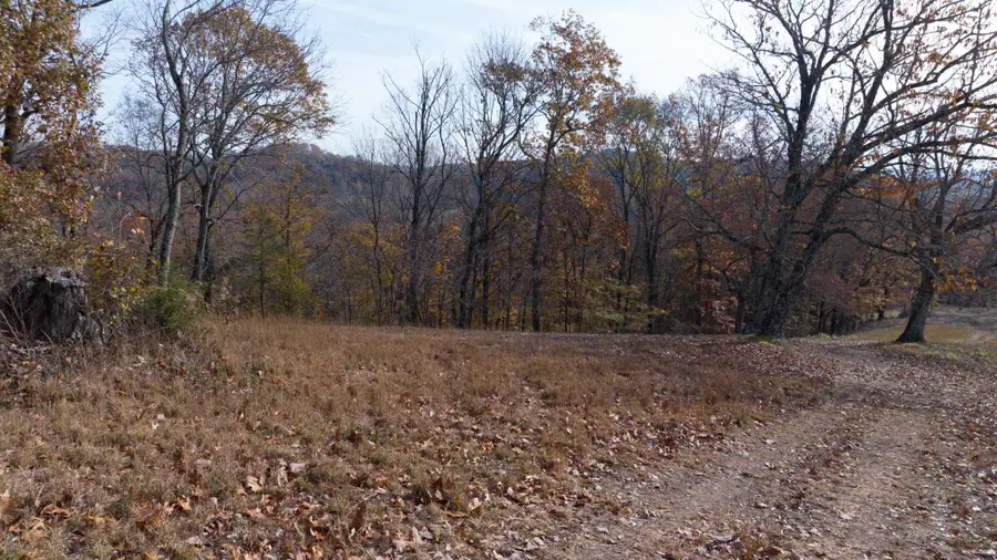 11 Brazier Lane, Gallatin, TN 37066 - Image #3