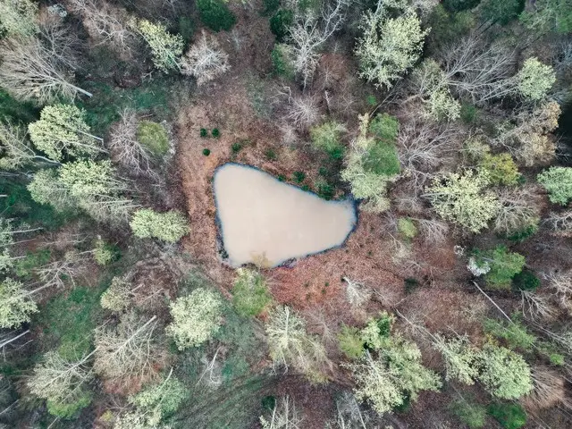 0 Pinewood Road, Nunnelly, TN 37137 - #3