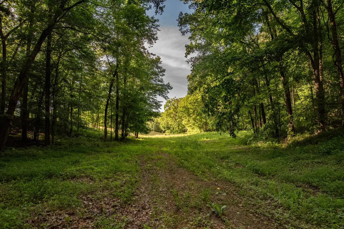 0 Pinewood Road, Nunnelly, TN 37137 - #1