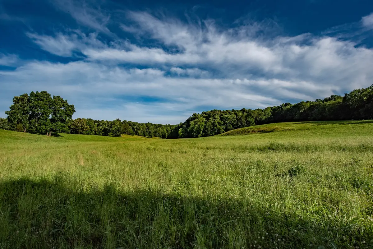 0 Pinewood Road, Nunnelly, TN 37137 - #1