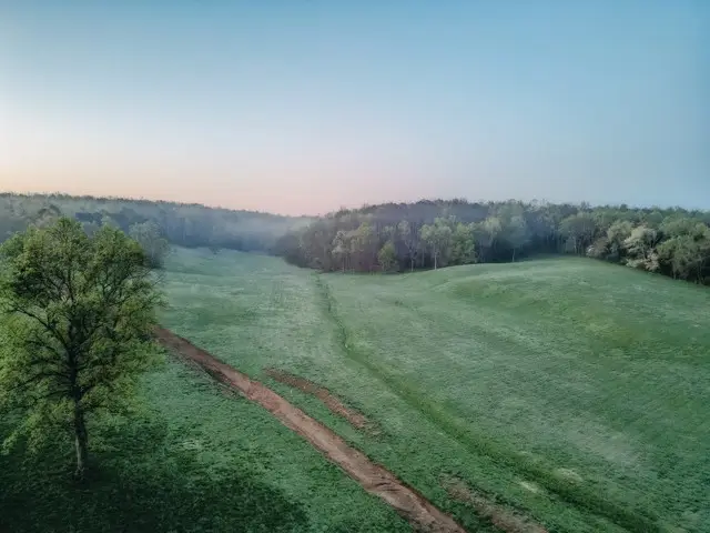 0 Pinewood Road, Nunnelly, TN 37137 - #2