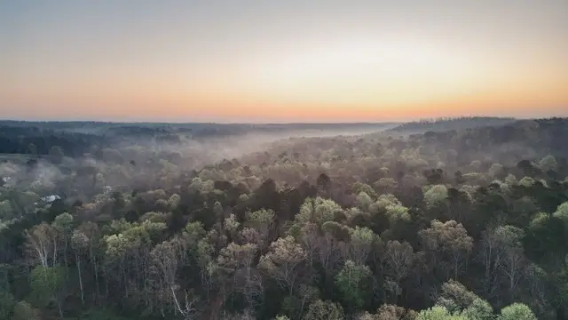 0 Pinewood Road, Nunnelly, TN 37137 - #3