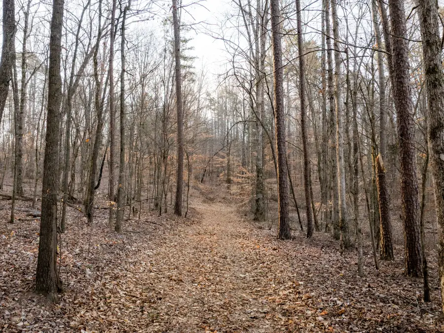 2 Pinewood Road, Nunnelly, TN 37137 - #2