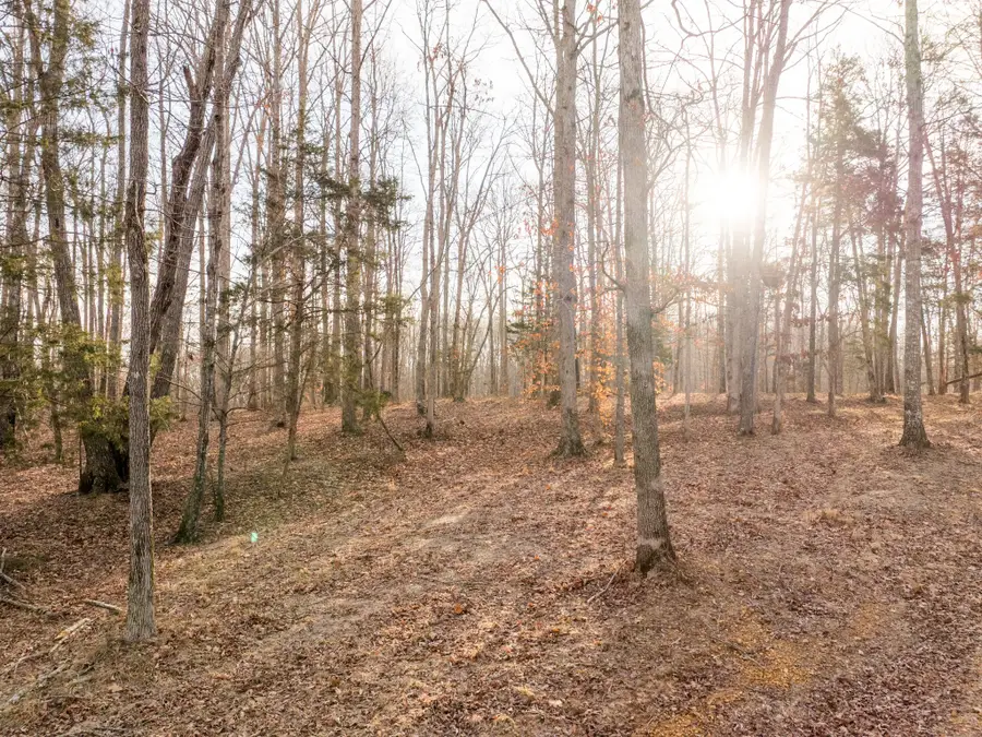 6 Pinewood Road, Nunnelly, TN 37137 - #3