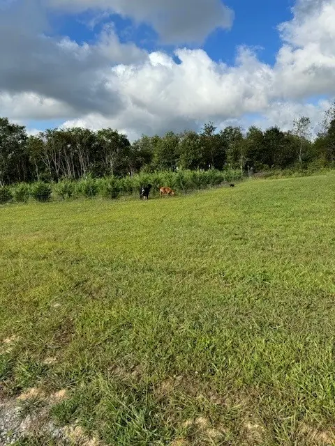 129 Rushing Springs Rd, Monterey, TN 38574 - #2