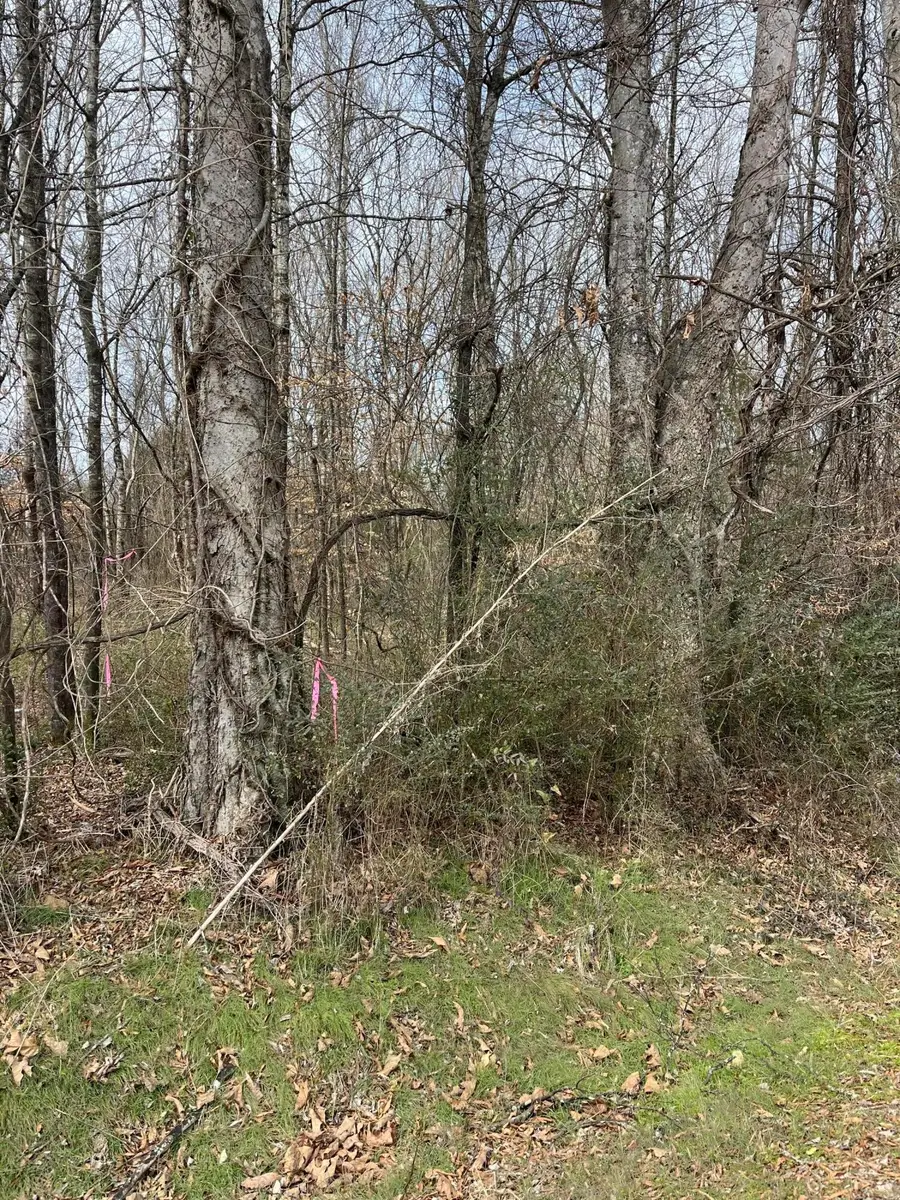 3 Tennessee 304, Decatur, TN 37322 - #2