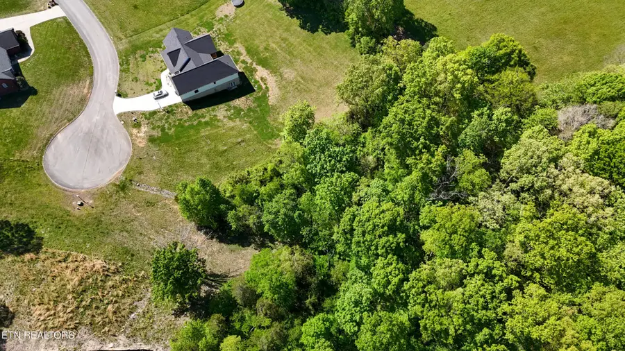 6312 Turners Pond Tr, Russellville, TN 37860 - #2