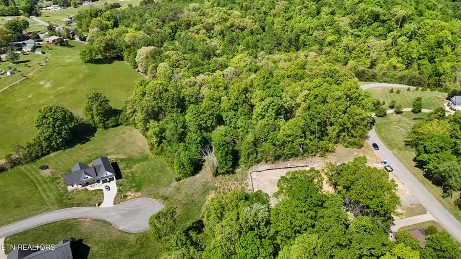 6312 Turners Pond Tr, Russellville, TN 37860 - #3