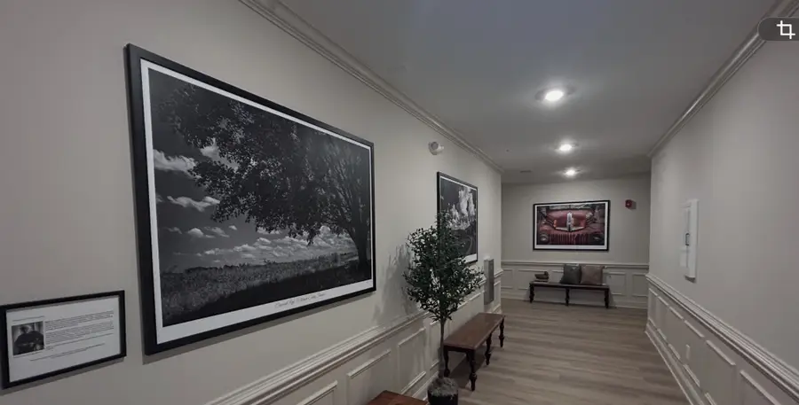 3171 Setting Sun Dr #301, Thompsons Station, TN 37179 - #3