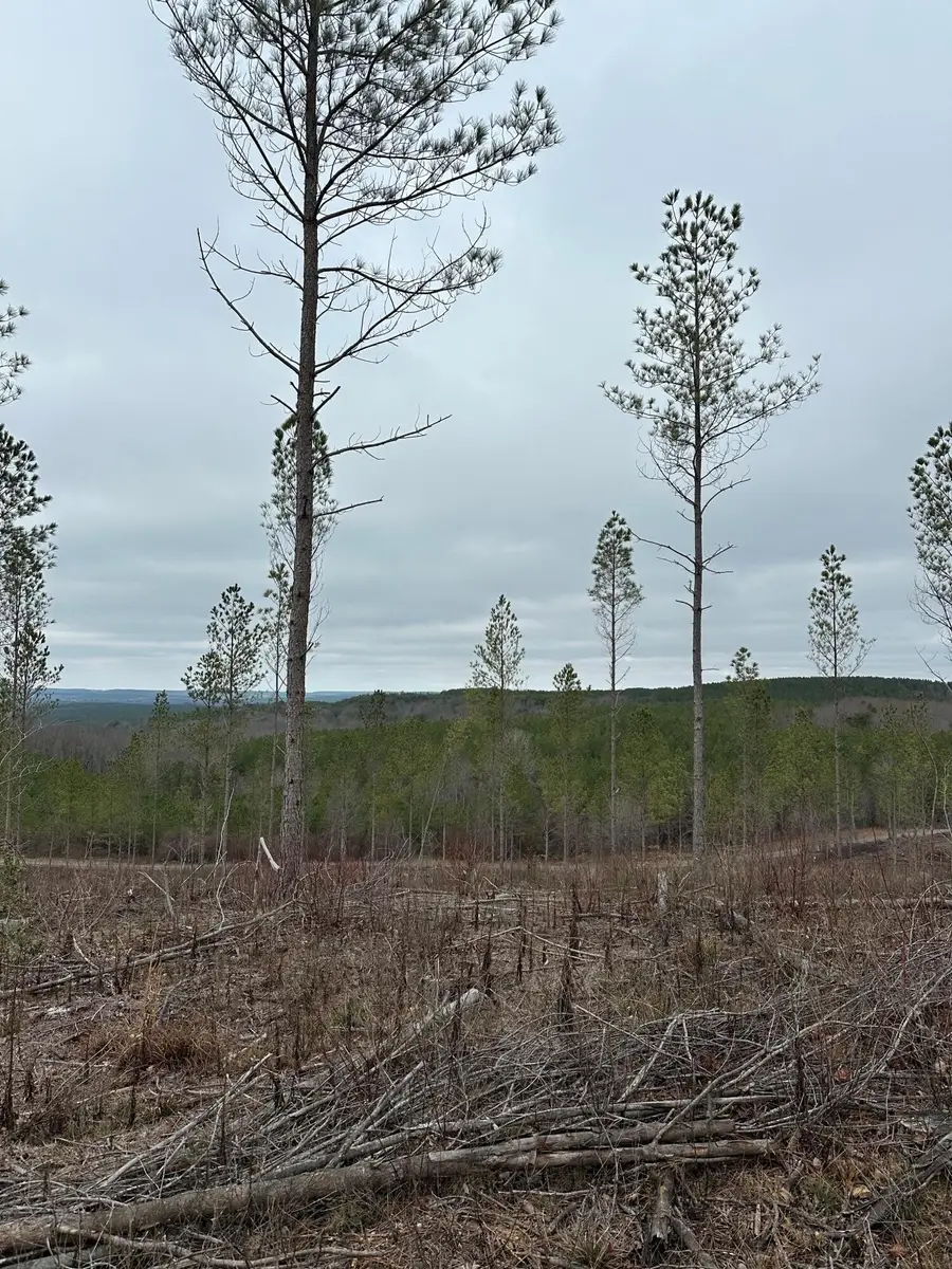 26 Thomas Springs Road, Crossville, TN 38572 - #2