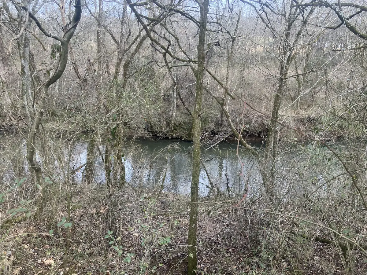 5 Southport Rd, Mount Pleasant, TN 38474 - #1