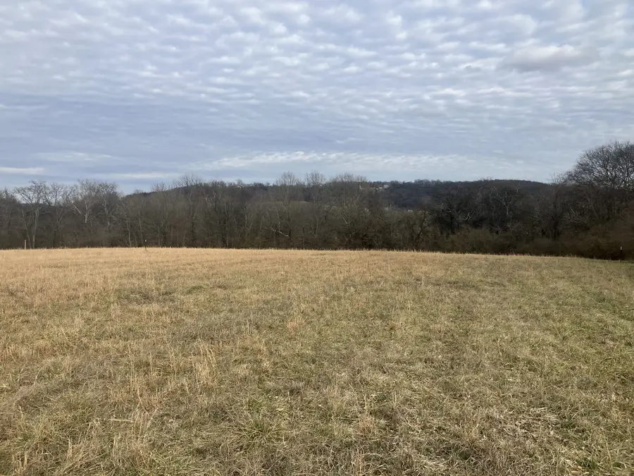 5 Southport Rd, Mount Pleasant, TN 38474 - #3