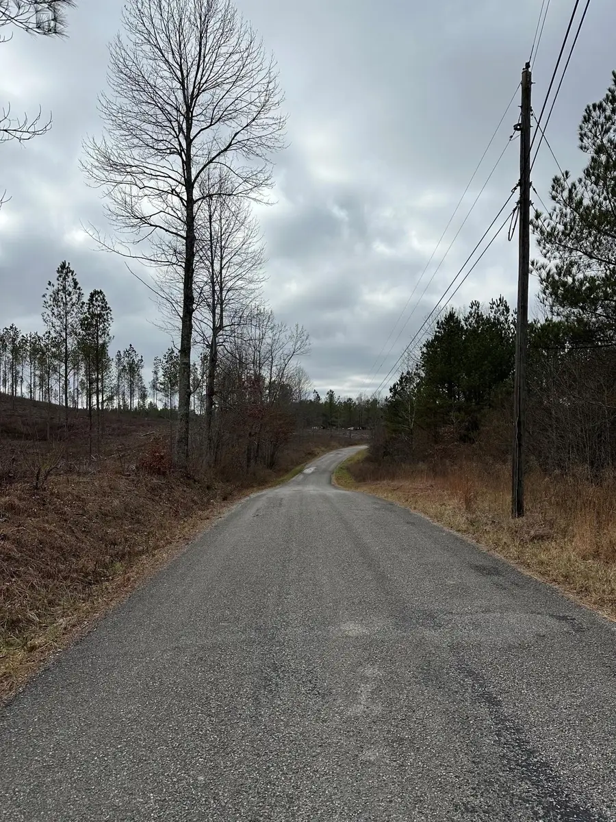 25 Thomas Springs Road, Crossville, TN 38572 - #3