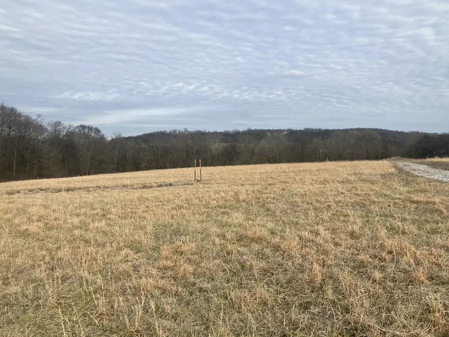 4 Southport Rd, Mount Pleasant, TN 38474 - #3