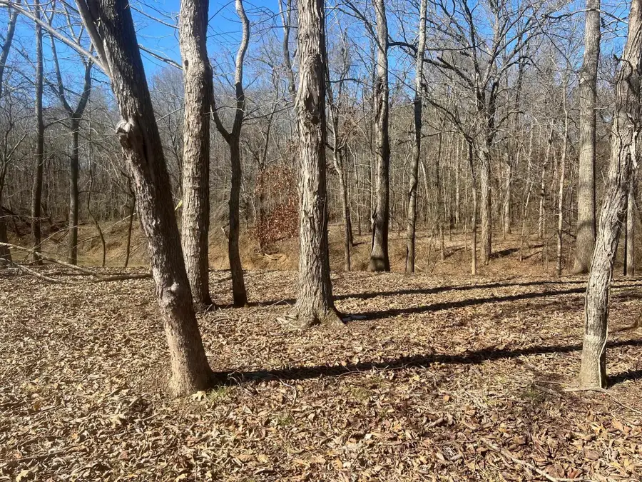 36 Towboat Ln, Adamsville, TN 38310 - #3