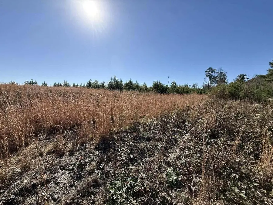 0 St Rt 399, Dunlap, TN 37327 - #2