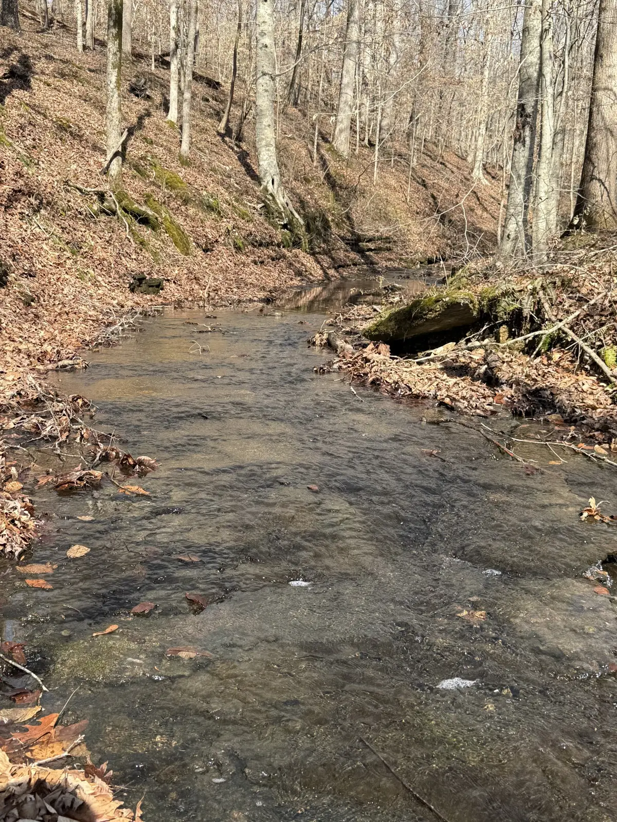 0 Old Hwy 96, Franklin, TN 37064 - #1