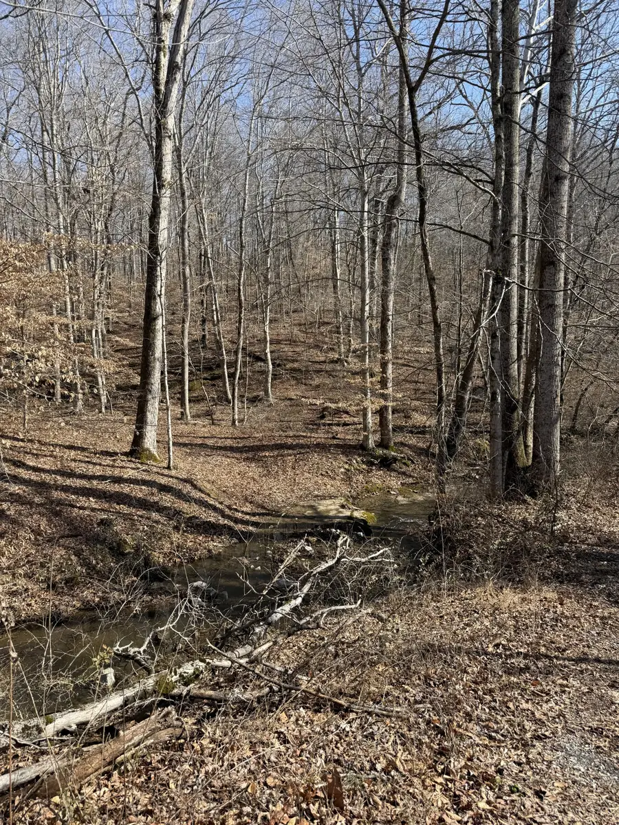 0 Old Hwy 96, Franklin, TN 37064 - #3