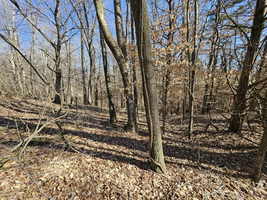 0 Hwy 70 S, Woodbury, TN 37190 - #3