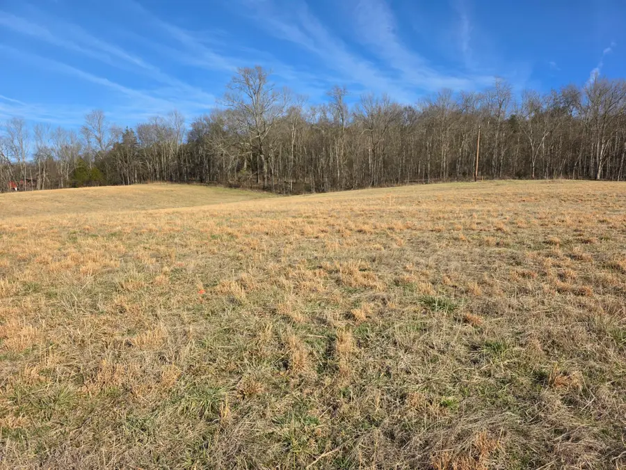 990 Wartrace Hwy, Pleasant Shade, TN 37145 - #2