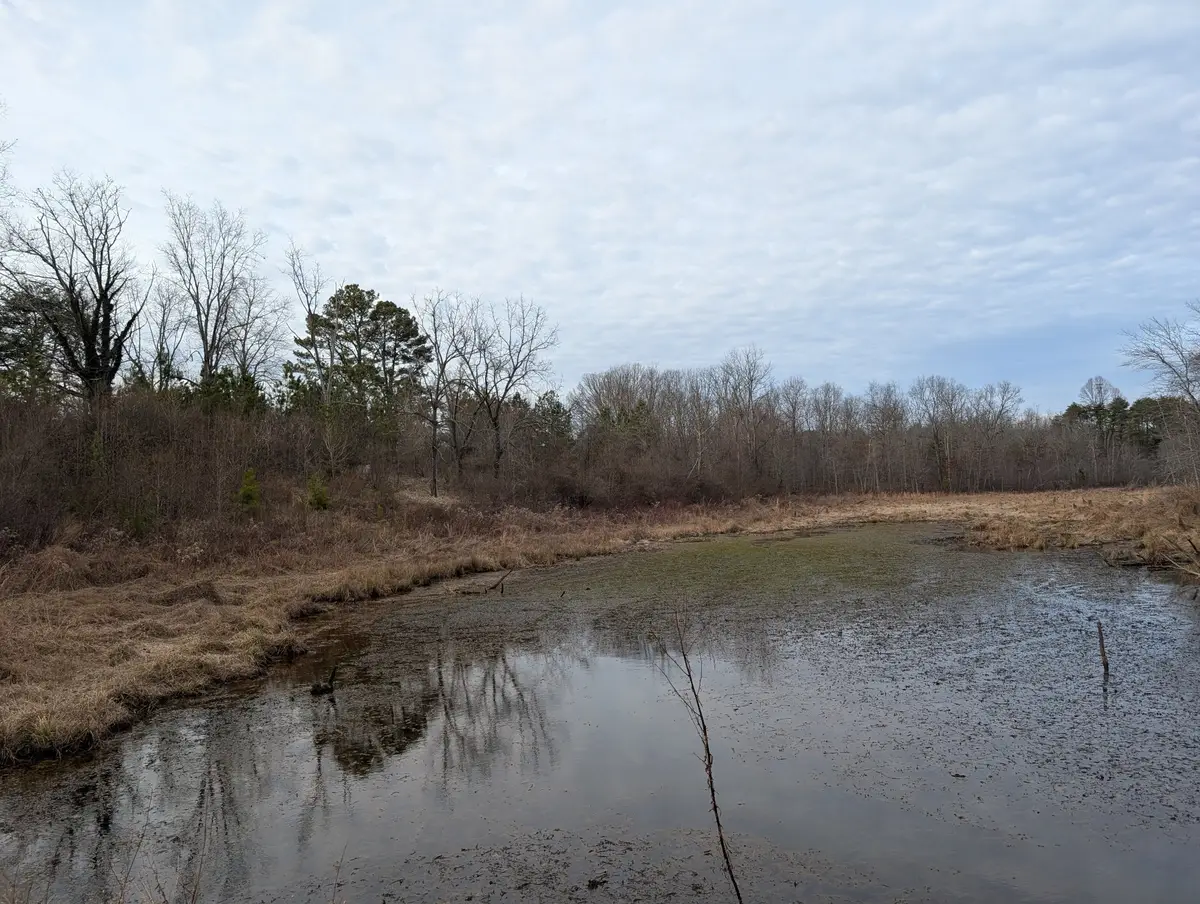 0 7th Street, Coalmont, TN 37313 - #1