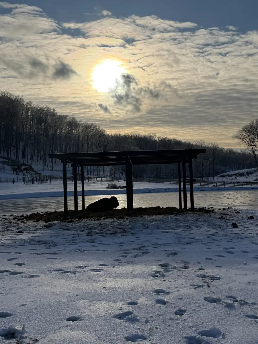 0 Eagle Pass, Joelton, TN 37080 - #2