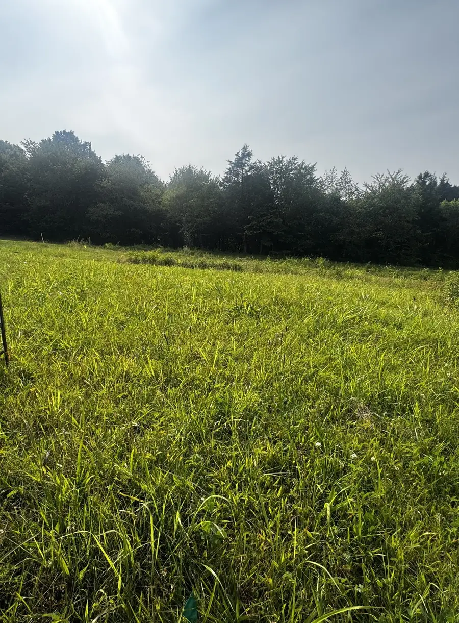 4050 Summit Dr, Greenbrier, TN 37073 - #3