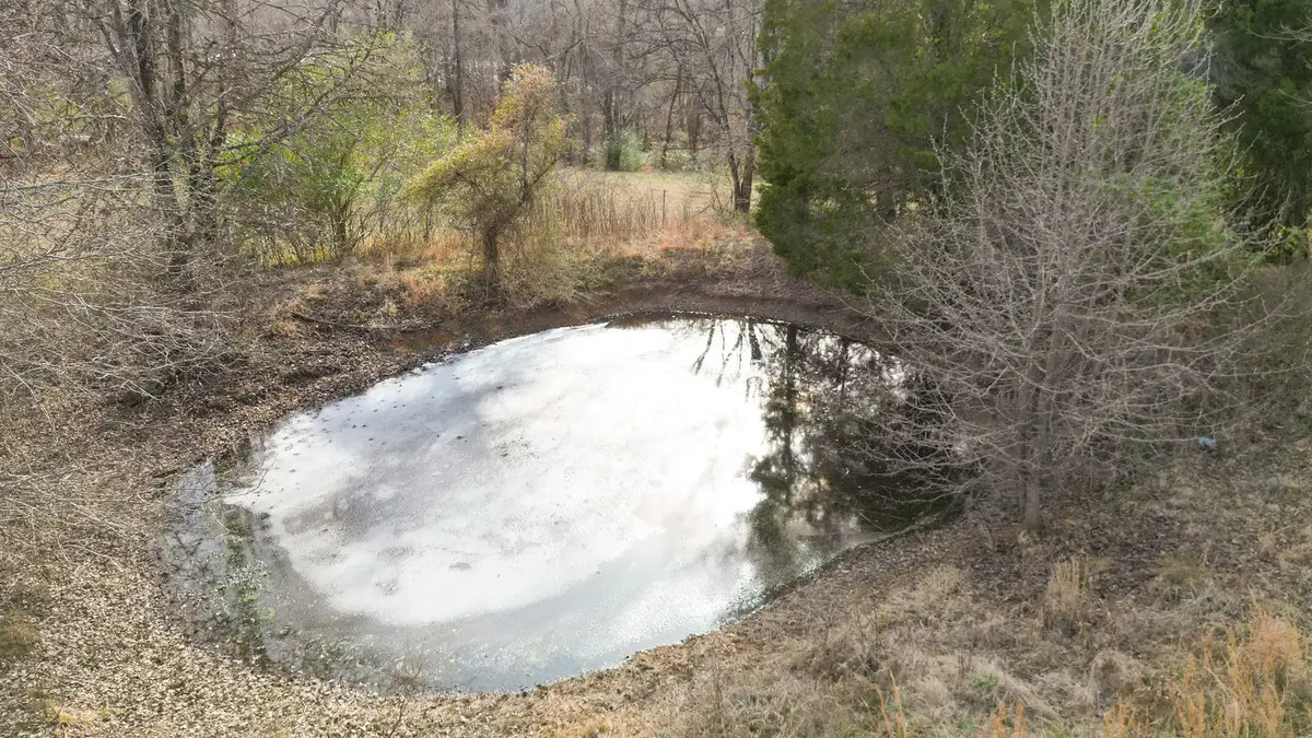 1125 Pleasant Valley Rd, Chapmansboro, TN 37035 - #1