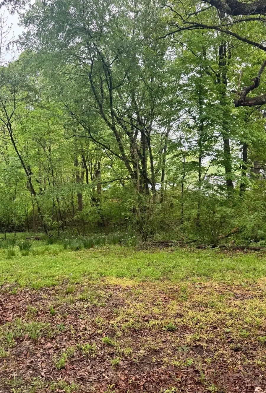 193 Whitaker St, Camden, TN 38320 - #3