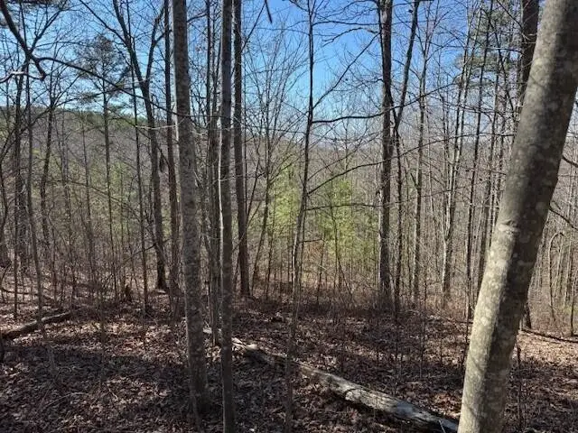 1 South Pittsburg Mountain, South Pittsburg, TN 37380 - #3