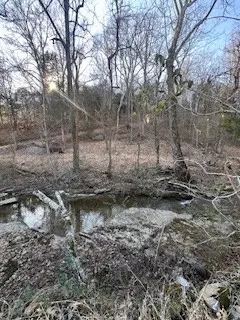 0 Glasgow Branch Road, Hartsville, TN 37074 - #2