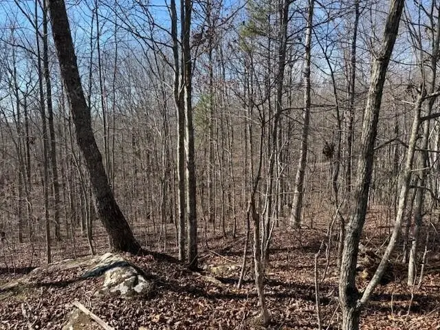 3 South Pittsburg Mountain, South Pittsburg, TN 37380 - #2