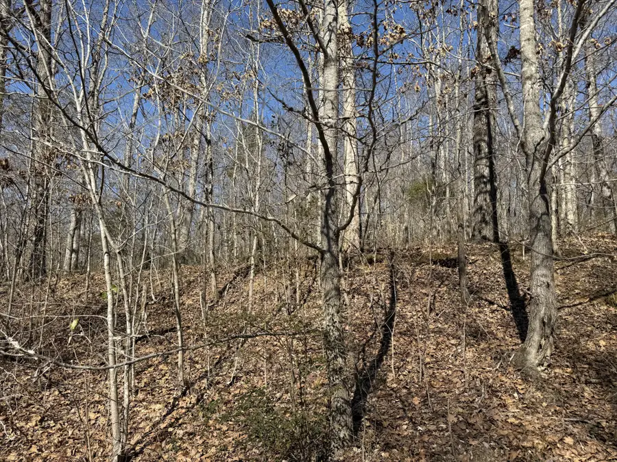 0 Hurricane Loop, Tennessee Ridge, TN 37178 - #2