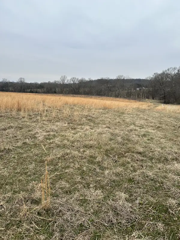 0 Lick Creek Trail, Lyles, TN 37098