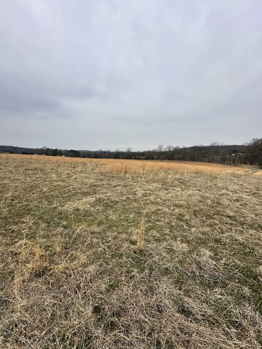 0 Lick Creek Trail, Lyles, TN 37098 - #2