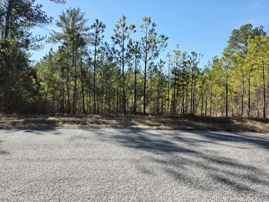 0 Allen Mill Bridge Rd, Camden, TN 38320 - #2