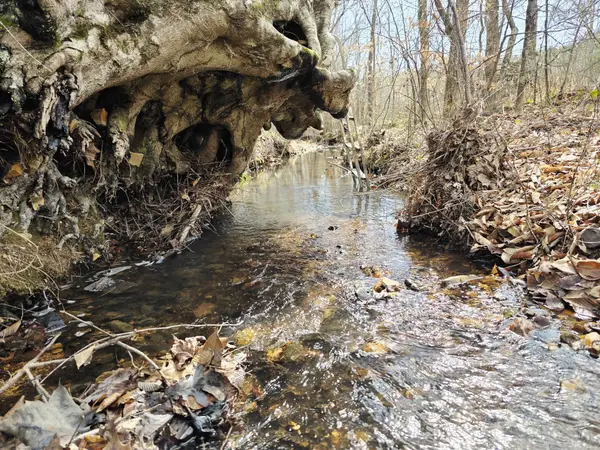 0 Birdsong Rd, Holladay, TN 38341