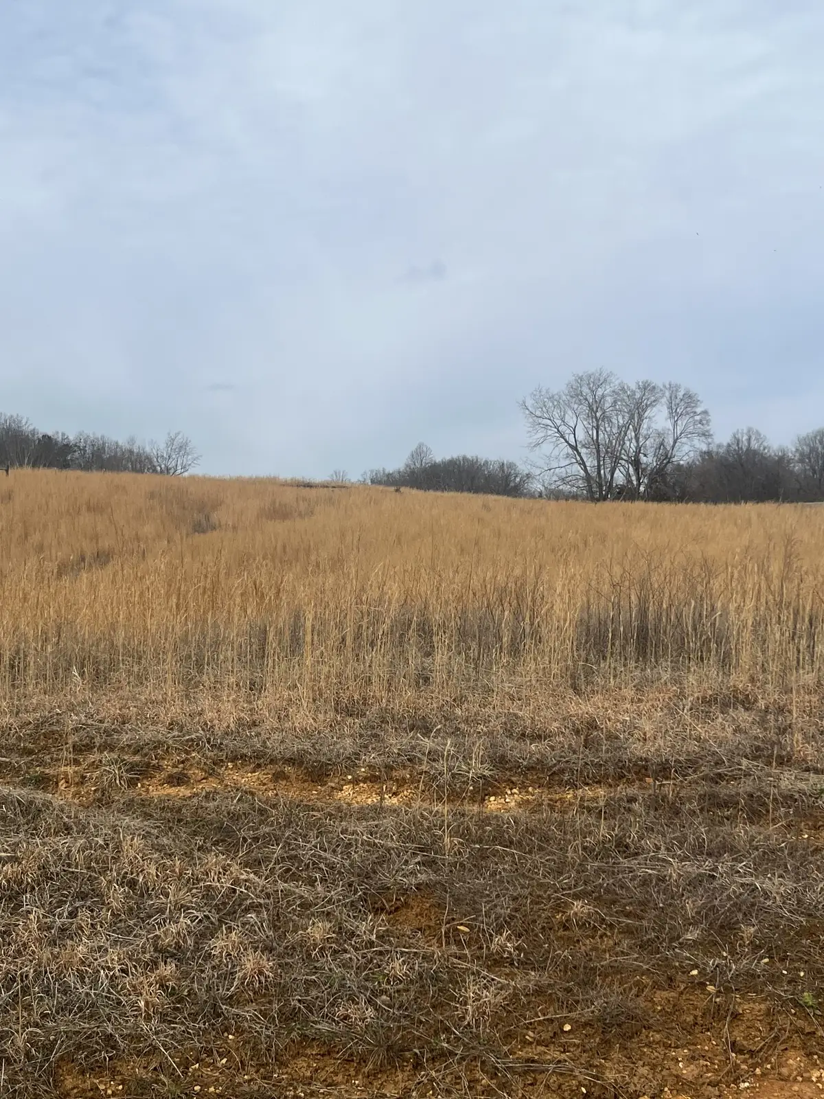 0 Hidden River Rd, Rock Island, TN 38581 - #1