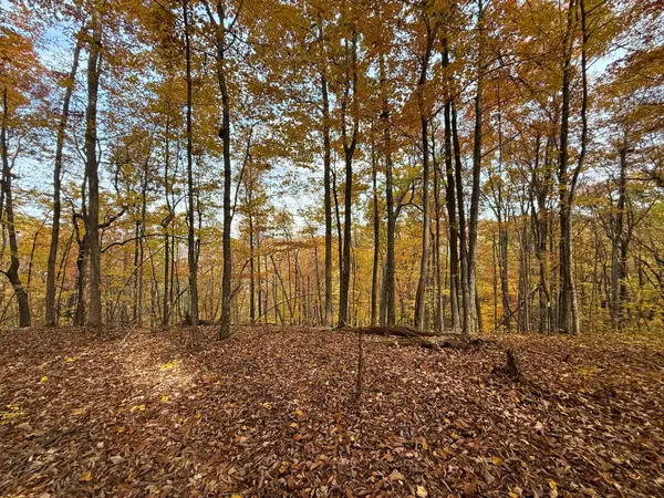 540 Cumberland Cove Rd, Monterey, TN 38574