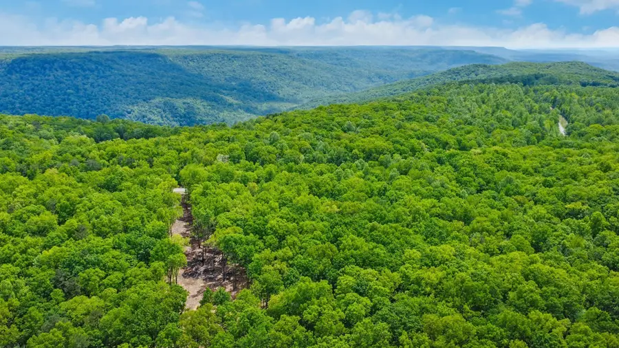 540 Cumberland Cove Rd, Monterey, TN 38574 - #3