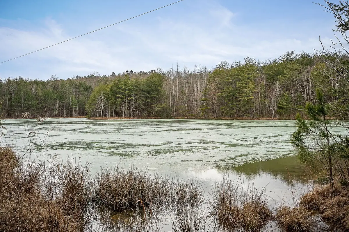 214 Edmonds Rd, Spencer, TN 38585 - #1