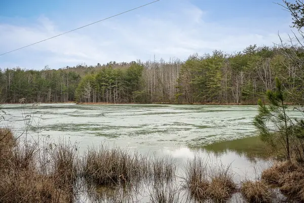 214 Edmonds Rd, Spencer, TN 38585