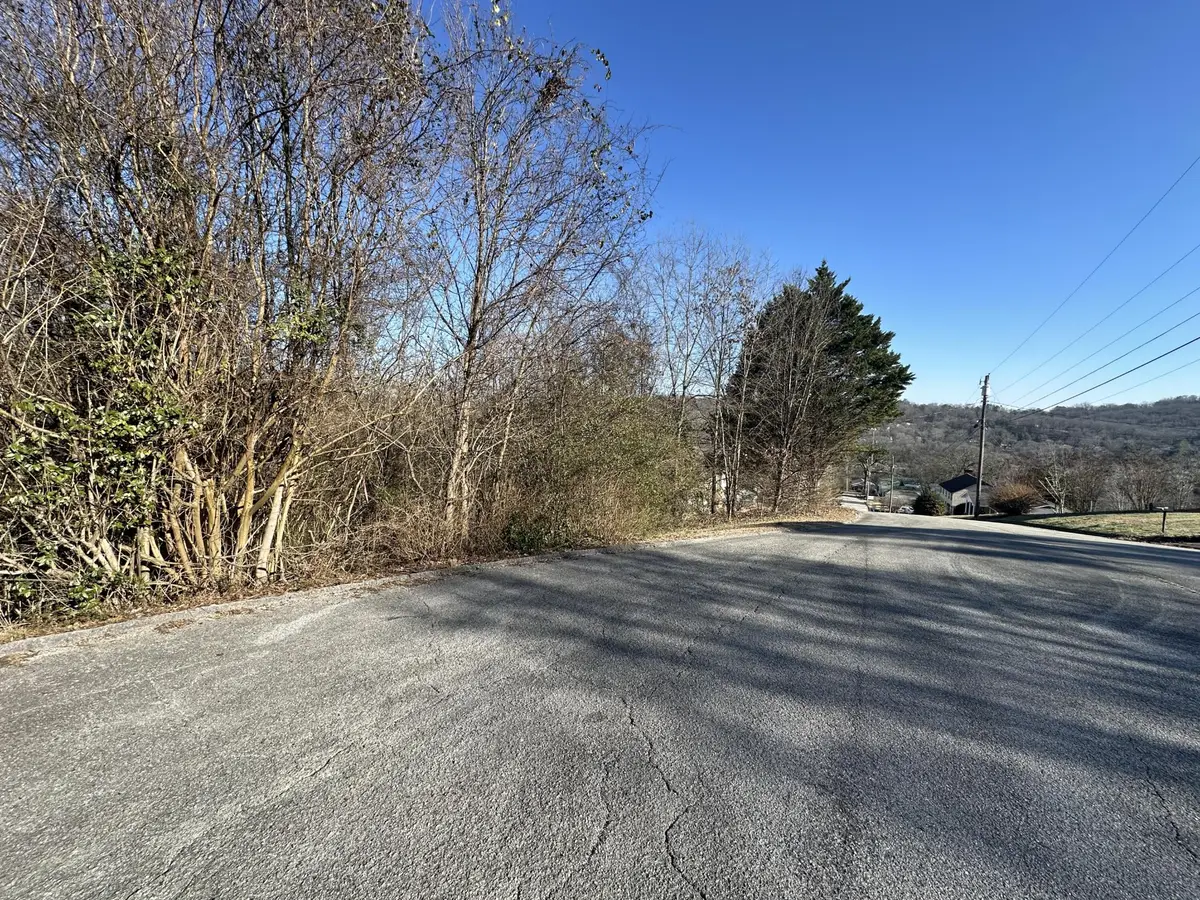 325 Brownview Drive, Red Bank, TN 37415 - #1