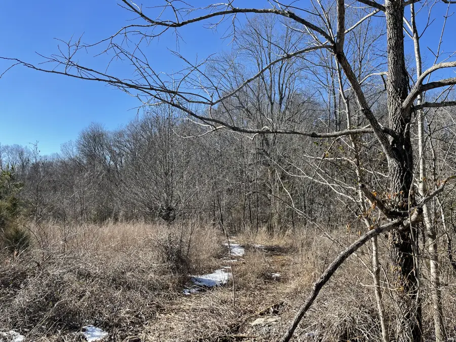 0 Kacie Drive, Pleasant View, TN 37146 - #2