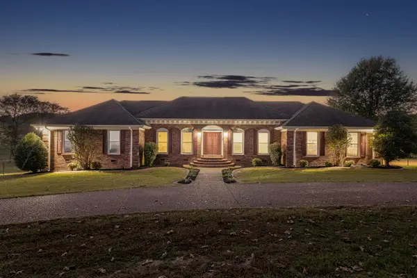 104 Terry Ln, Cornersville, TN 37047